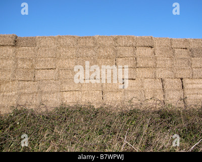 Haystack in a field in Cambridgeshire, England Stock Photo