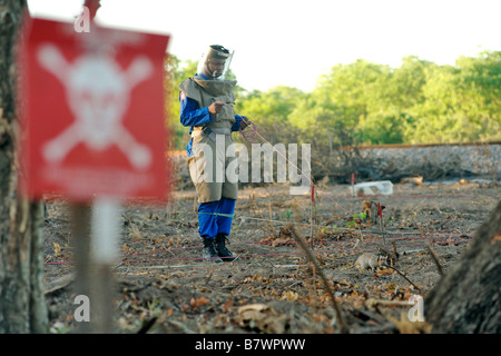 APOPO mine action program deminer with trained rat used to sniff out land mines and other UXO in Gaza Province Mozambique. Stock Photo