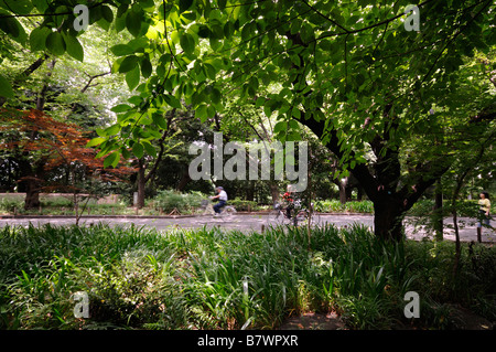 Ueno Park (its official name is 'Ueno Onshi Koen' which means 'Ueno Imperial Gift Park). Tokyo. Japan Stock Photo