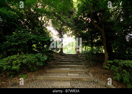 Ueno Park (its official name is 'Ueno Onshi Koen' which means 'Ueno Imperial Gift Park). Tokyo. Japan Stock Photo