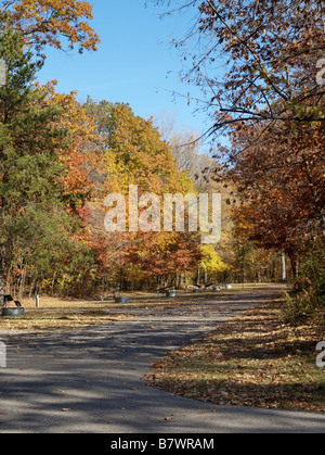 Deserted campground in Autumns forest bright with red and gold foliage. Stock Photo