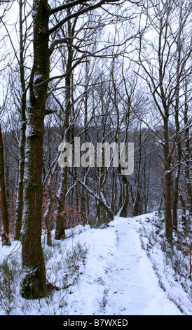 A snow covered footpath in Healey Dell Nature Reserve, Whitworth, Rossendale, UK. Stock Photo