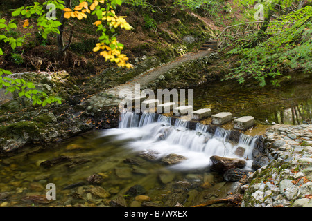 Stepping stones crossing a cascading stream in Tollymore Forest Park County Down Northern Ireland Stock Photo