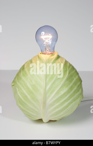 Cabbage with a light bulb Stock Photo