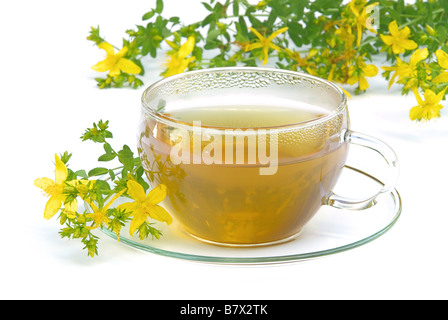 Tee Johanniskraut tea St Johns wort 02 Stock Photo