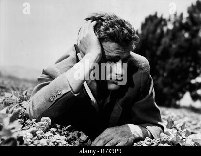 East of Eden  Year: 1955 USA James Dean  Director: Elia Kazan Stock Photo