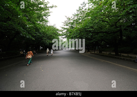 Ueno Park (its official name is 'Ueno Onshi Koen' which means 'Ueno Imperial Gift Park). Tokyo. Japan Stock Photo