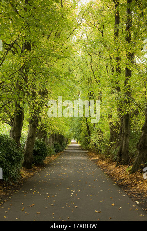 Maxwell Park, Glasgow. Stock Photo