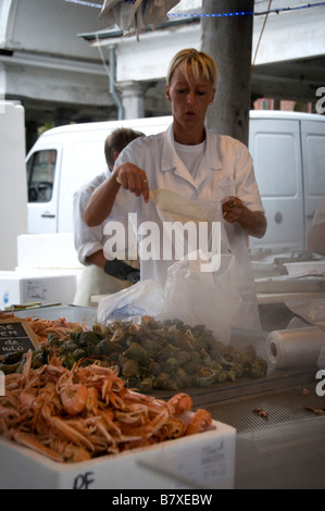 Woman scoops sea snails into plastic bags Bruges fishmarket West Flanders Belgium