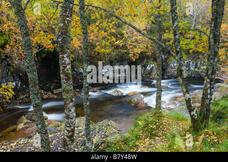 River Etive surrounded by trees in full autumn colours Glen Etive Highlands Scotland Stock Photo
