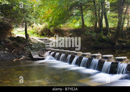 Stepping stones crossing a cascading stream in Tollymore Forest Park County Down Northern Ireland Stock Photo