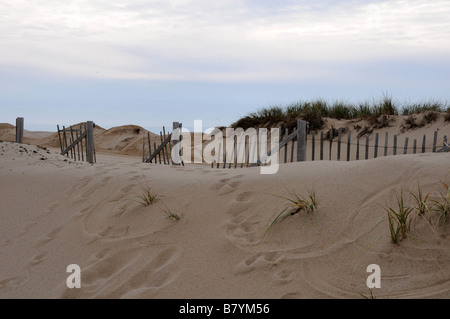 Sand dunes, Cape Cod Stock Photo