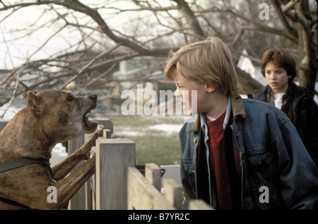 The Good Son  Year: 1993 USA Macaulay Culkin, Elijah Wood  Director: Joseph Ruben Stock Photo