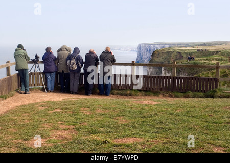 Birdwatchers at Bempton Cliffs East Riding of Yorkshire Stock Photo