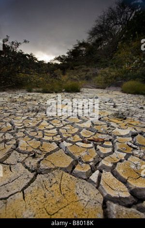 Dried mud patterns from a volcanic mudpot at the Volcano Rincón de la Vieja National Park near Liberia in the Guanacaste province of Costa Rica. Stock Photo