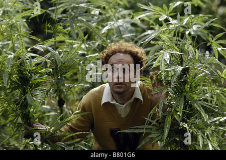 Reefer Madness Reefer Madness: The Movie Musical  Year: 2005 -  Year: TV USA John Kassir  Director: Andy Fickman Stock Photo