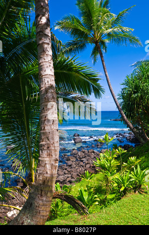 Coconut palms and blue Pacific waters from Hideaways Beach Island of Kauai Hawaii Stock Photo
