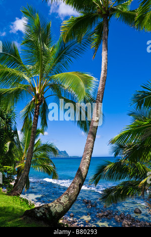 Hideaways Beach and the Na Pali Coast Island of Kauai Hawaii Stock Photo