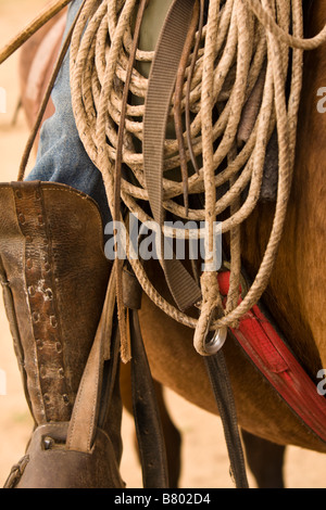 Close-up of cowboy's gear on a horse in Guanacaste, Costa Rica. Stock Photo