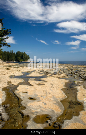 BRITISH COLUMBIA - Botanical Beach along the Juan De Fuca Marine Trail on the Strait of Juan de Fuca on Vancouver Island. Stock Photo