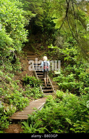 BRITISH COLUMBIA - Hiker on a forested section of the Juan de Fuca Trail south of Parkinson Creek. Stock Photo