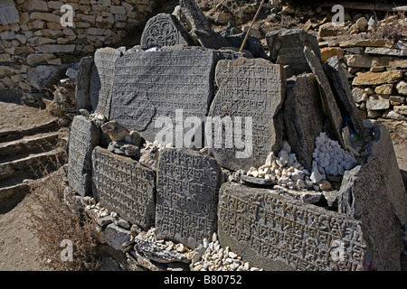 A living faith mantras or sacred syllables etched in stones on the wayside to hermit house above Dingboche village Nepal Stock Photo