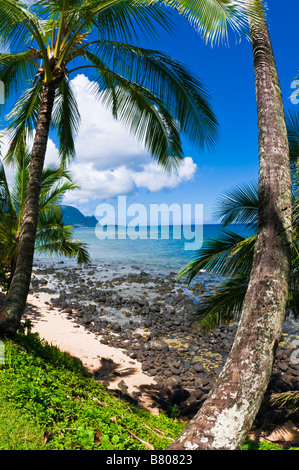 Coconut palms and blue Pacific waters at Hideaways Beach Princeville Island of Kauai Hawaii Stock Photo