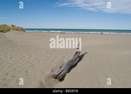 Woodend Beach, Woodend, Waimakariri District, Canterbury, New Zealand Stock Photo