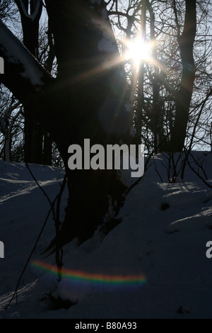 Lens flare from sun shining through trees, snow covered ground , winter, Oxfordshire, UK Stock Photo