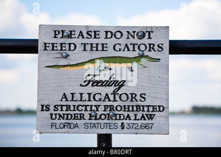 Alligator Present Sign stock image. Image of terranova - 102117971