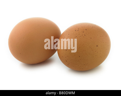 two eggs Stock Photo