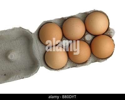 6 eggs in a box Stock Photo