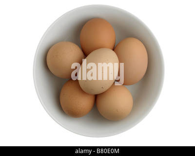 6 eggs in a white bowl Stock Photo