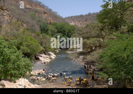 The entrance of the largest cave system in Africa Sof Omar Ethiopia Africa Stock Photo