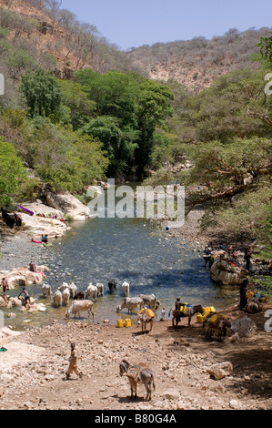 The entrance of the largest cave system in Africa Sof Omar Ethiopia Africa Stock Photo