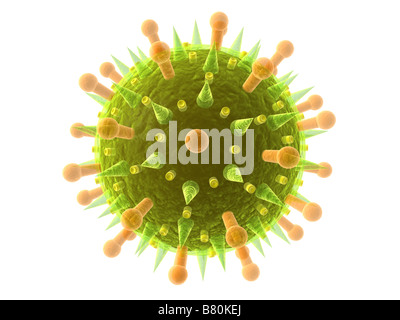 influenza virus Stock Photo