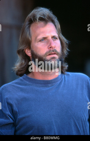 Fly Away Home  Year: 1996 USA Jeff Daniels  Director: Carroll Ballard Stock Photo