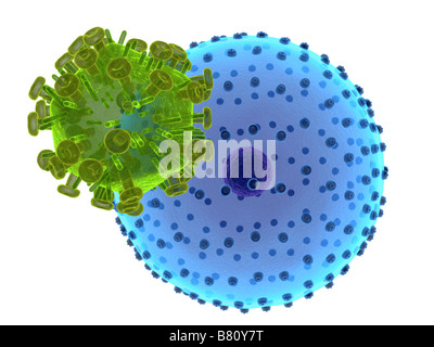 hi virus infecting cell Stock Photo