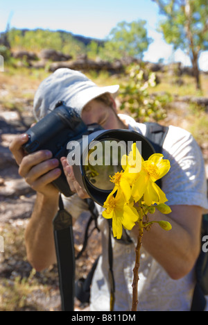 Man in hat taking photographs of yellow flowers in Kakadu National Park Stock Photo