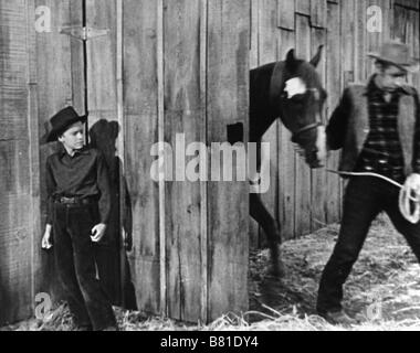 My Friend Flicka TV-Series 1956-1958 USA Director: James B. Clark ...