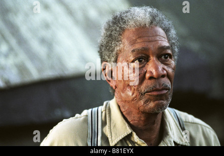 An unfinished life  Year: 2005 USA Morgan Freeman  Director: Lasse Hallström Stock Photo