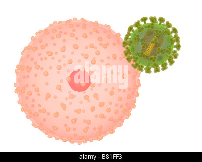 hi virus infecting cell Stock Photo