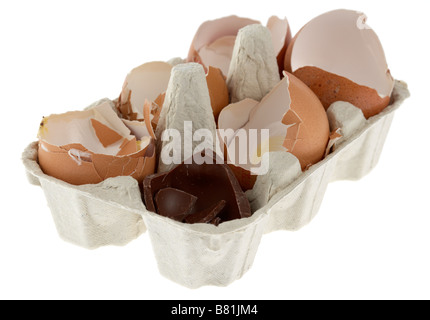 single chocolate easter egg broken eggshell placed in a box of broken free range eggs Stock Photo