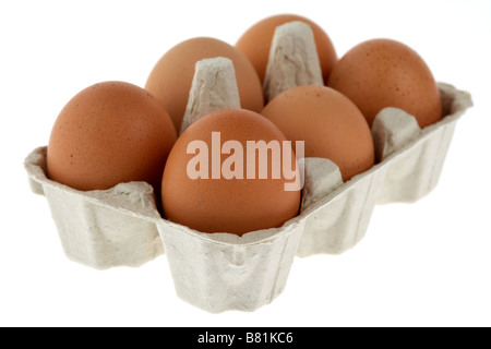 Six half dozen free range hens eggs collected in a recycled cardboard egg carton Stock Photo
