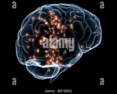 active brain Stock Photo