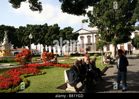 Local Men Relaxing in Leafy Santa Cruz de Tenerife, the capital of the Spanish Canary Island of Tenerife Stock Photo