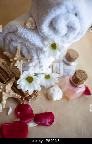 tender rose leafs and simple daisy.Photo for SPA and cosmetic Stock Photo