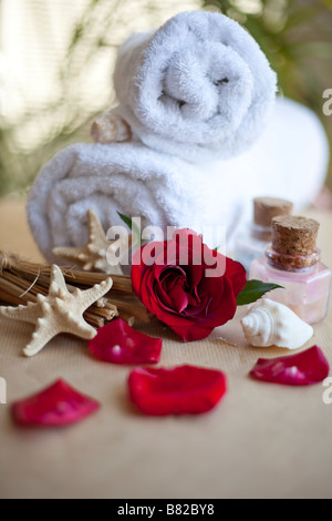 tender rose leafs and simple daisy.Photo for SPA and cosmetic Stock Photo