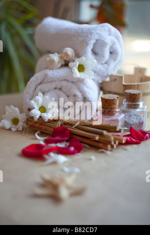 tender rose leafs and simple daisy.Photo for SPA and cosmetic Stock Photo