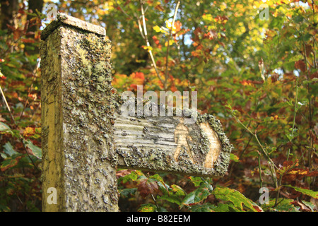 Lichen covered waymarker indicating path through ancient woodland in the Elan valley, Elan, near Rhayader,mid-Wales Stock Photo